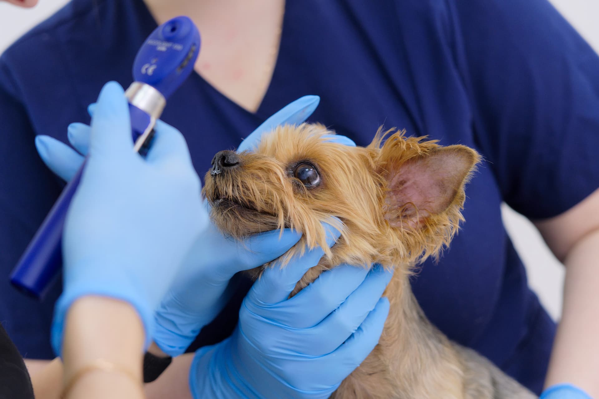 Запись на диск﻿