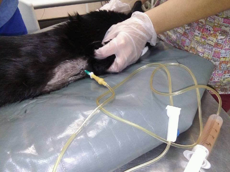 Постановка дренажа﻿