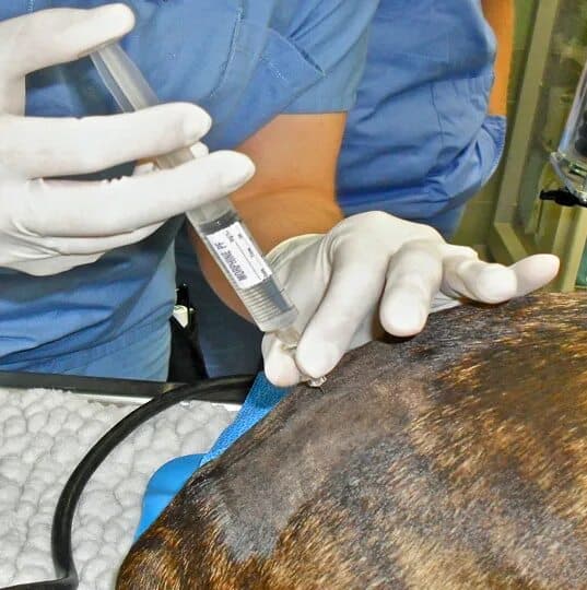 Эпидуральная анестезия﻿