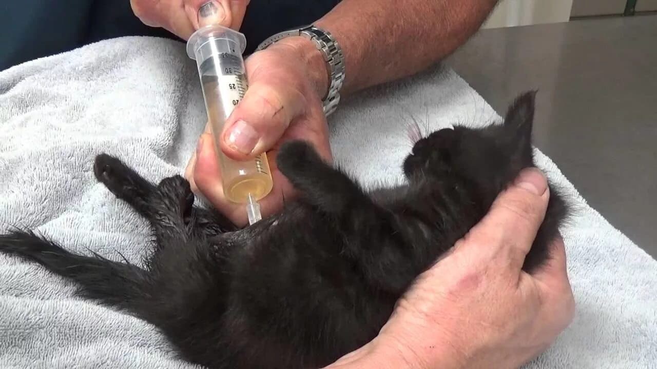 Лапароцентез 1 час