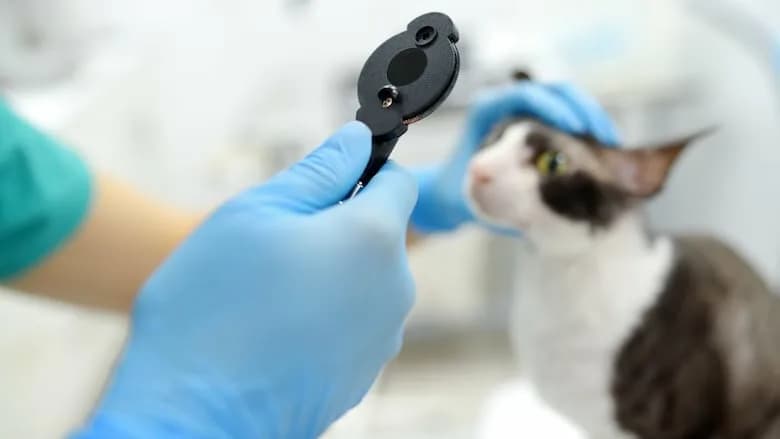 Повторный прием офтальмолога