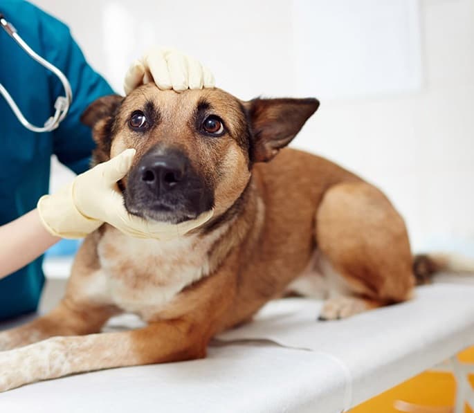 Блефаропластика (1 глаз)