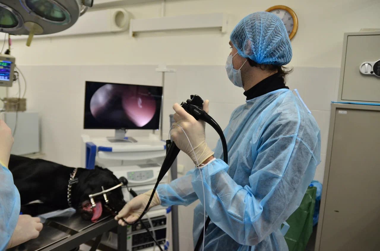 Гастроэнтерология - изображение 1