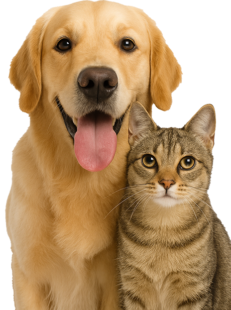 Ветеринарный центр Приморский