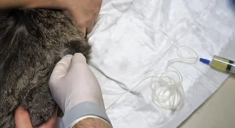 Промывание дренажа