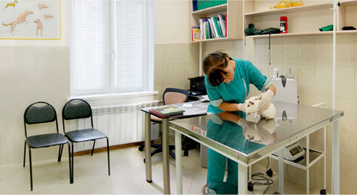 Лабораторная
диагностика - изображение 1