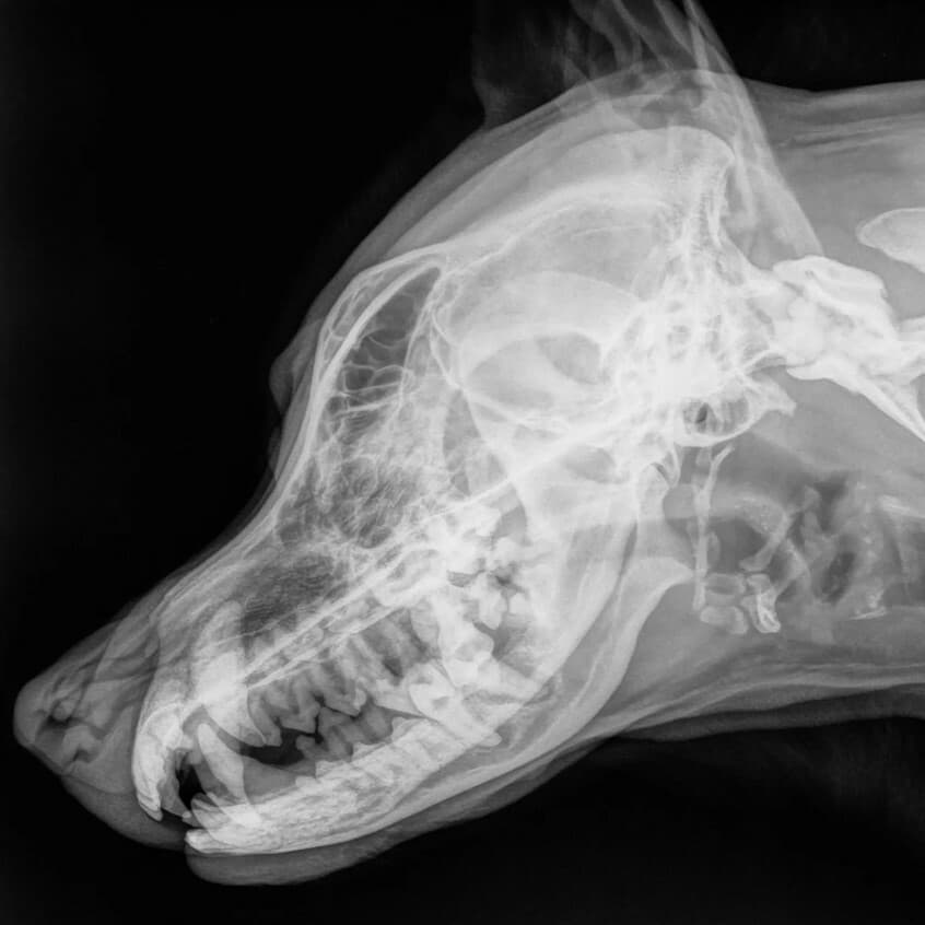 Запись на диск