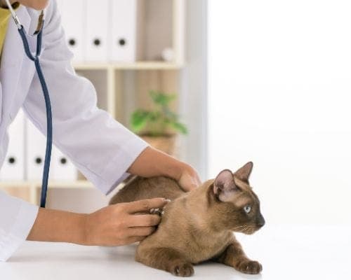 Взятие биопсии с кожи